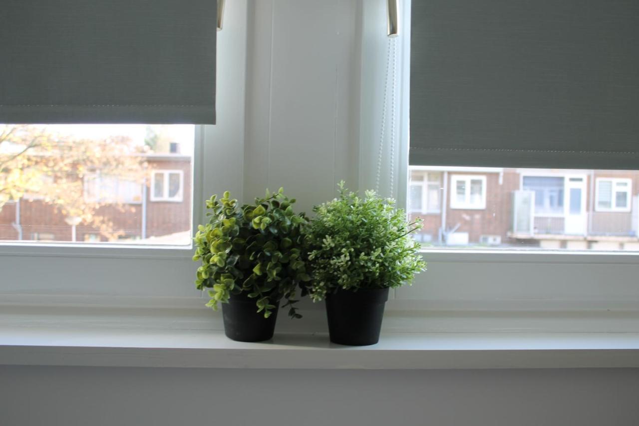 Apartment Hoornweg Rotterdam Room photo